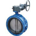 Manual concentric worm actuated flanged butterfly valve wuhu